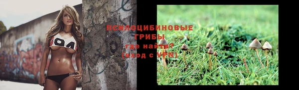 гидра Алексин