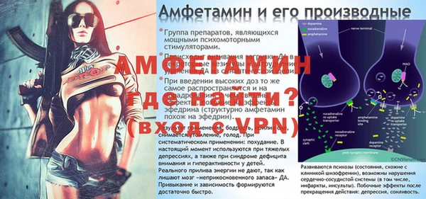 гидра Алексин