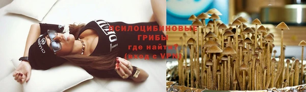 крисы Алзамай