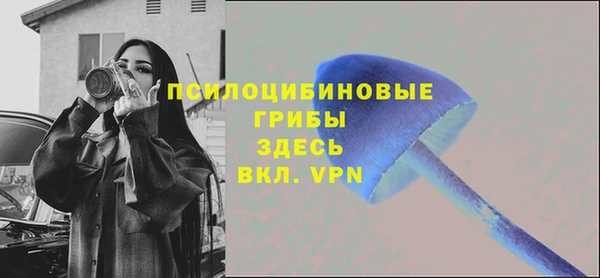 гидра Алексин