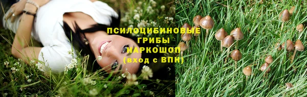 ешки Алексеевка