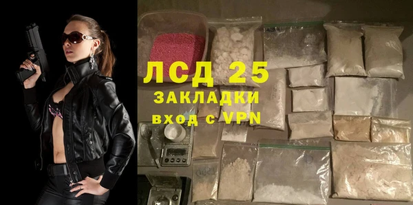 крисы Алзамай