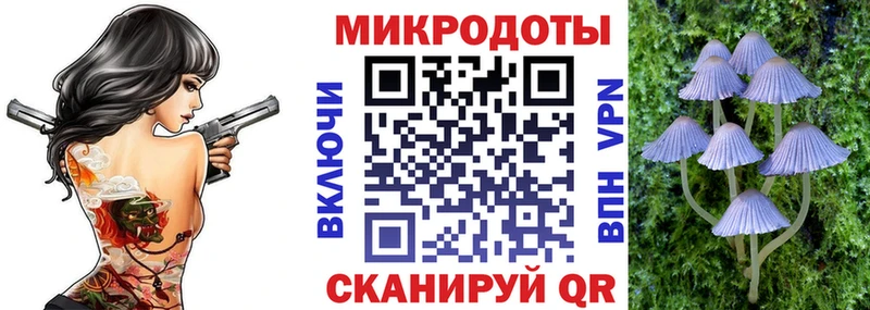 Галлюциногенные грибы Cubensis  хочу наркоту  Грязовец 