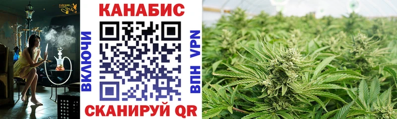Бошки Шишки ГИДРОПОН ОМГ ОМГ ТОР Грязовец